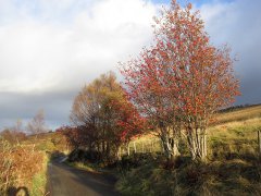 IMG_0751.jpg