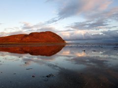 IMG_0847.jpg