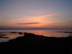 KIF_0773.jpg